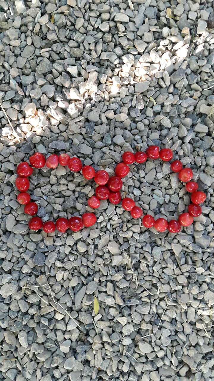 Cherry design