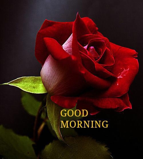 time to wake up:)