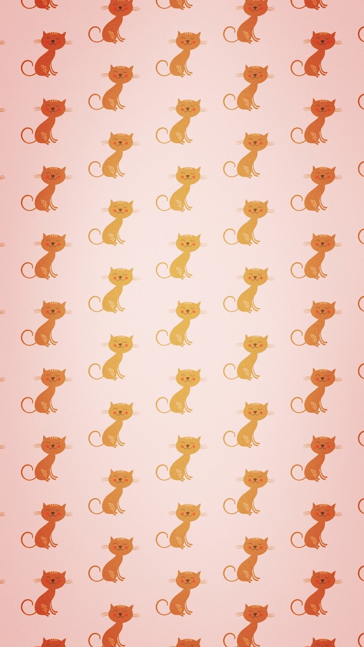 котики