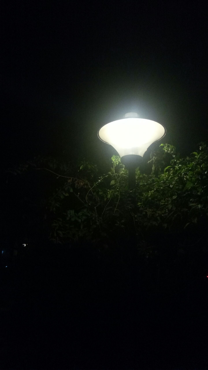 light