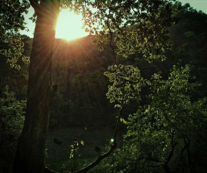 Sunshine
