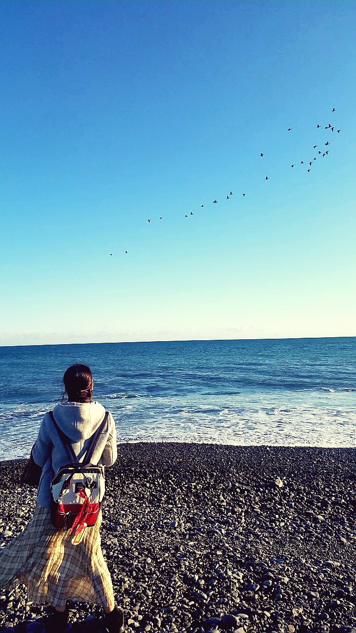 冬の海