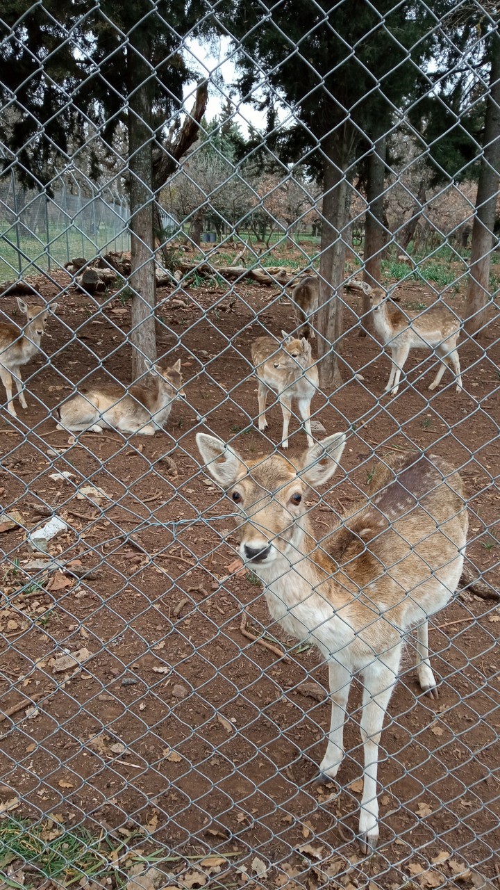 Help Me I Am Trapped