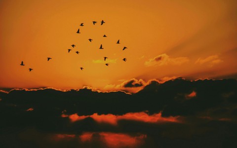 sunset
