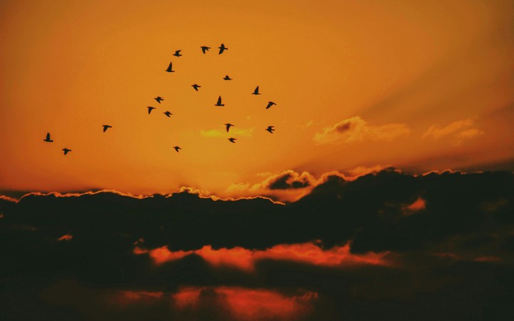 sunset