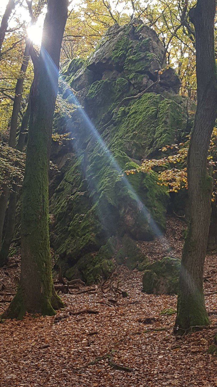 Lichtspiel