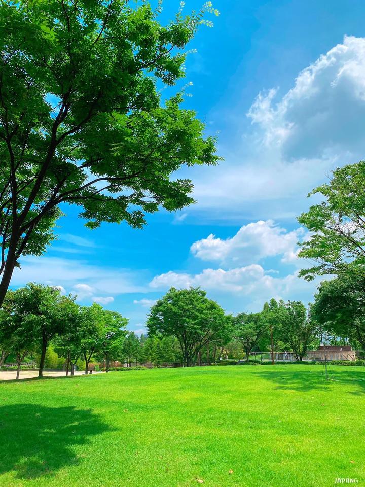 Lawn park