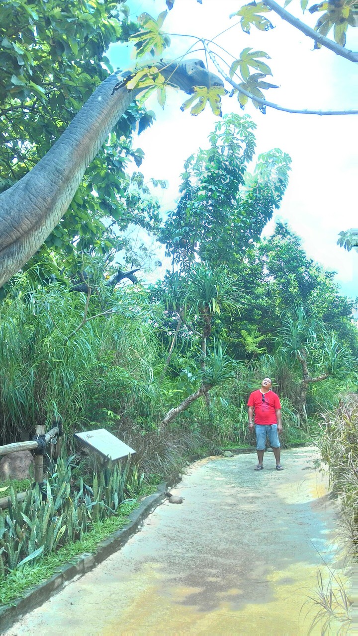 big reptil