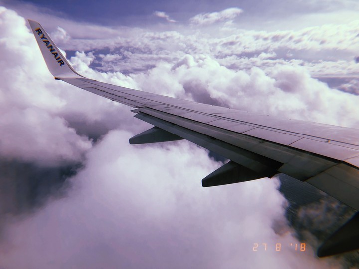 fly