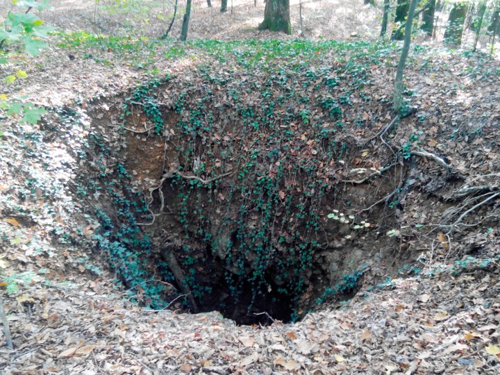 Pit in the woods