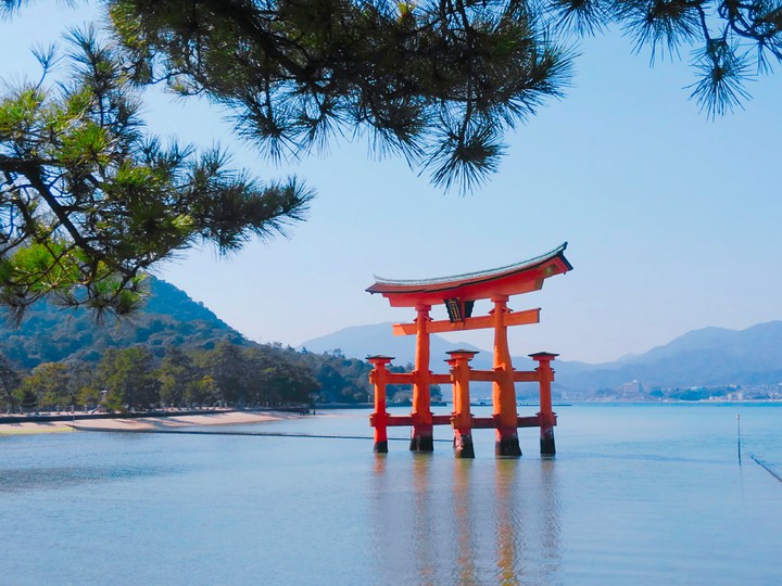 sea ＆ shrine