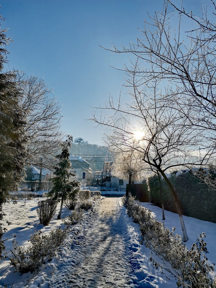Freezing morning's