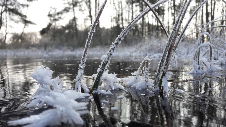 Eiskristalle