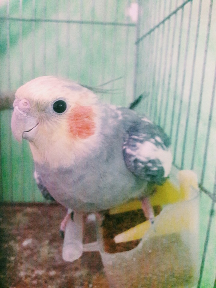 My cutie