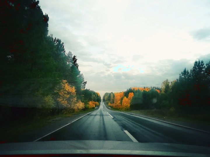 дорога в никуда