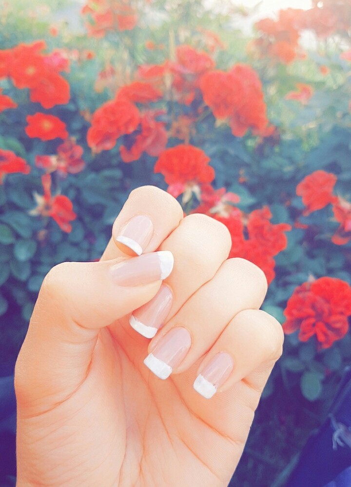 #univercity #garden #flowers #my #hand