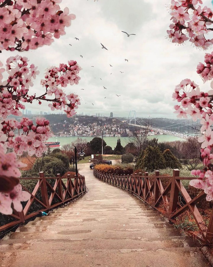 Turkey