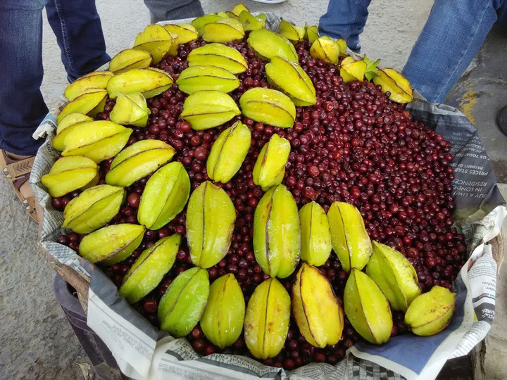 Sahel