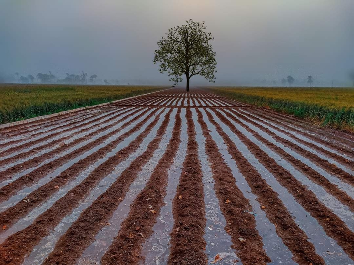 countryside