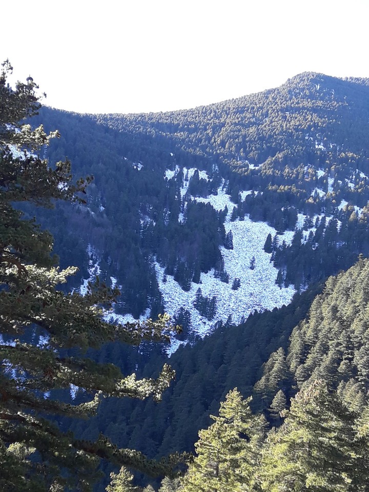 mountain snow