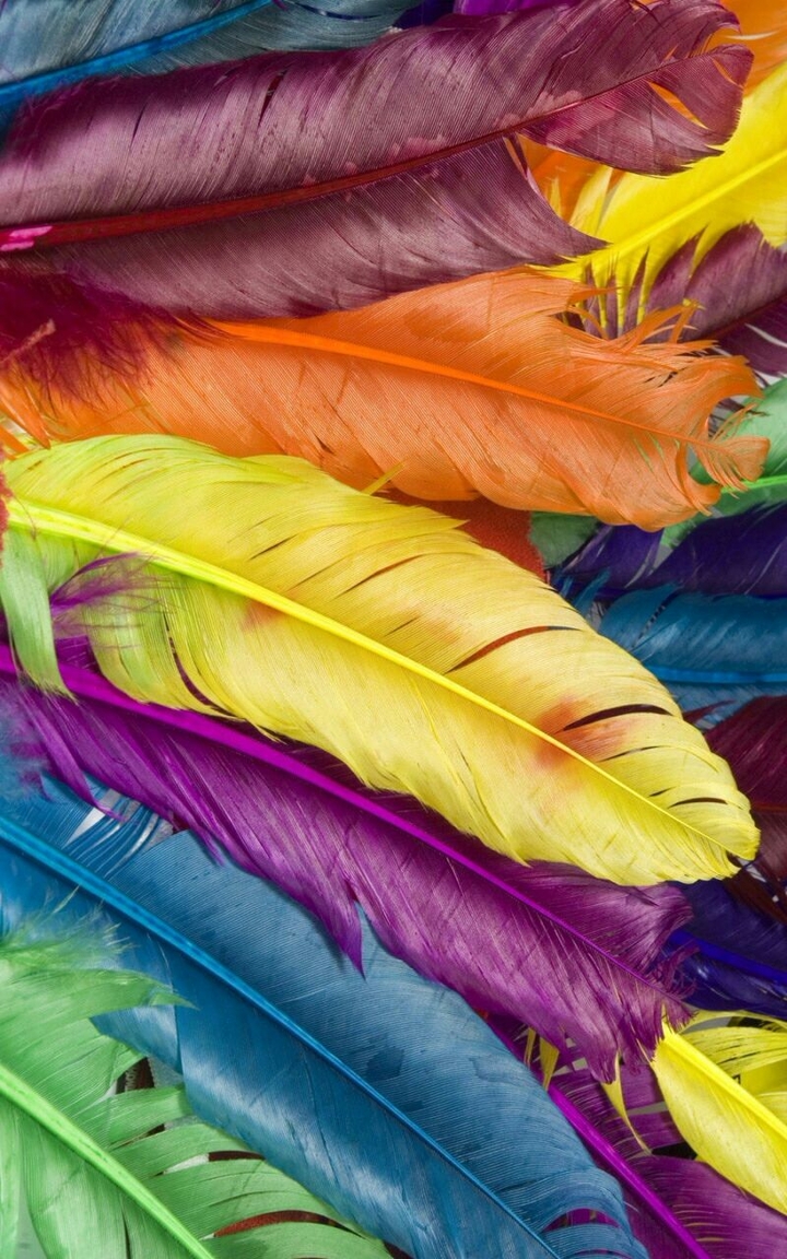 Feathers..