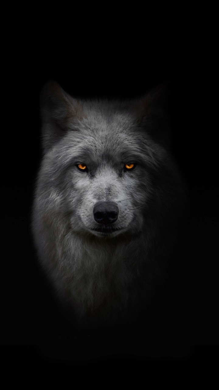 Wallpaper