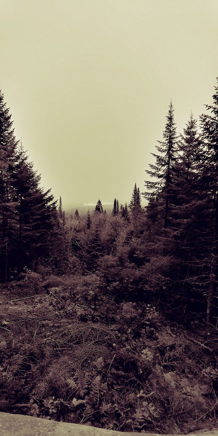 montagne noire ..st-donat