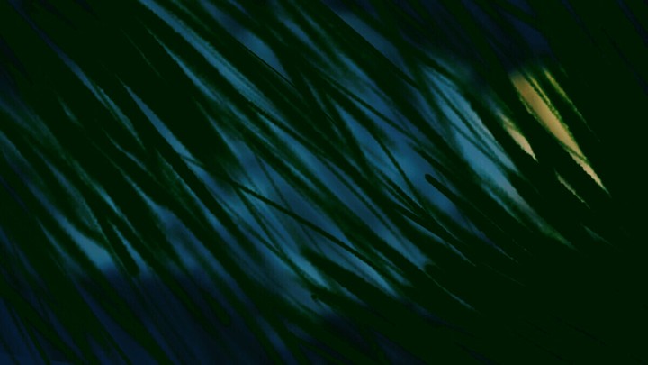 Weather