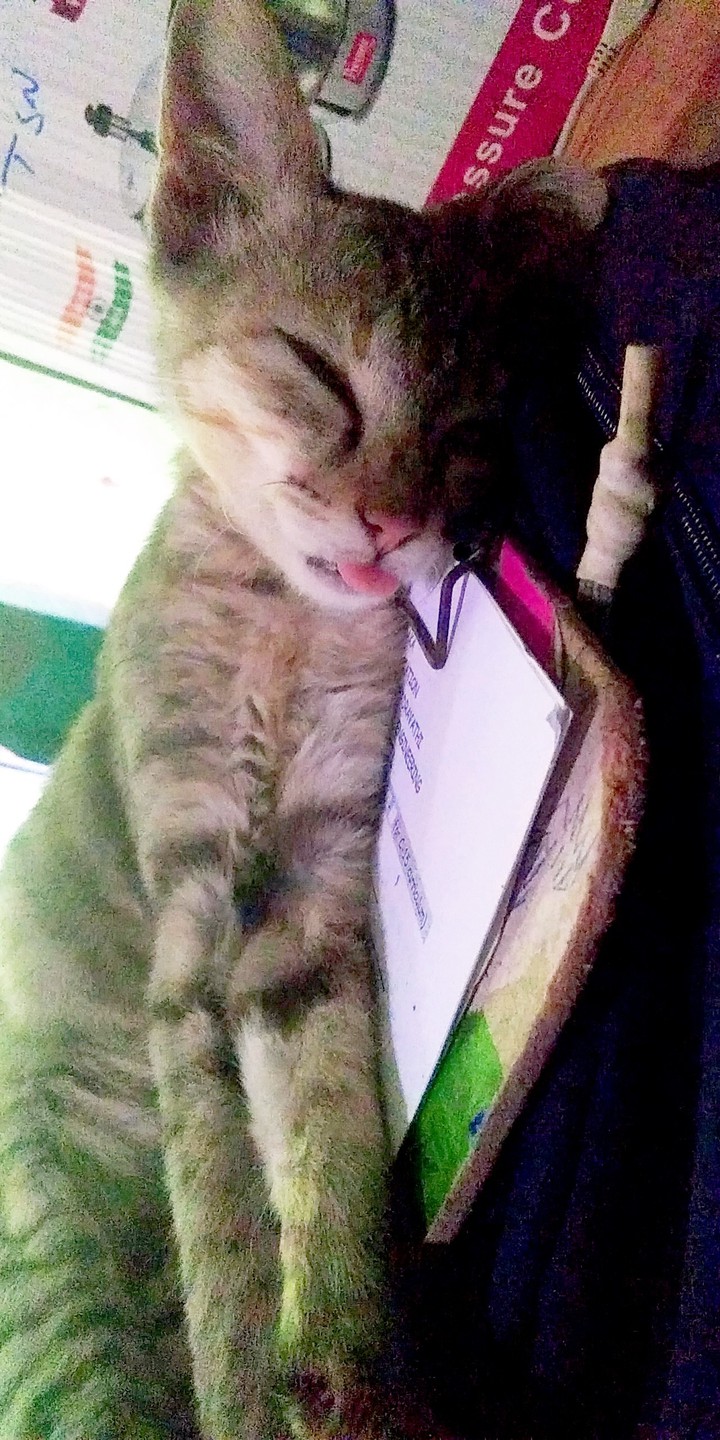 CB :cute baby