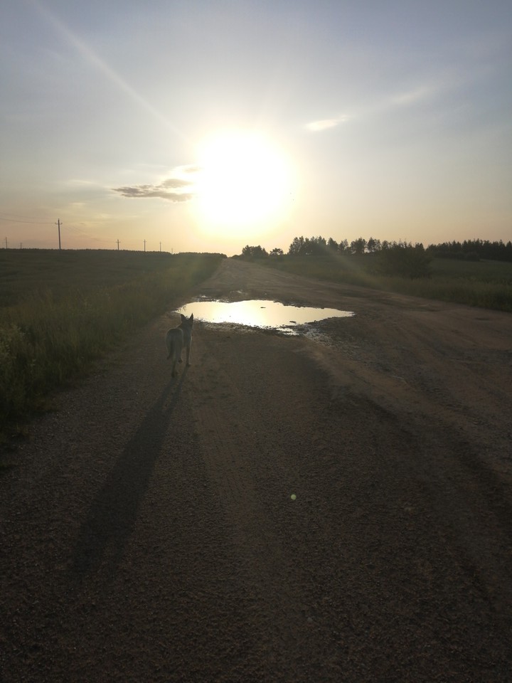 walk