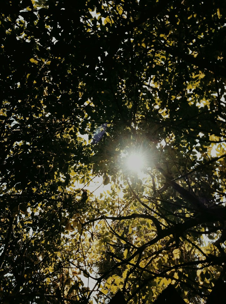 ✨✨