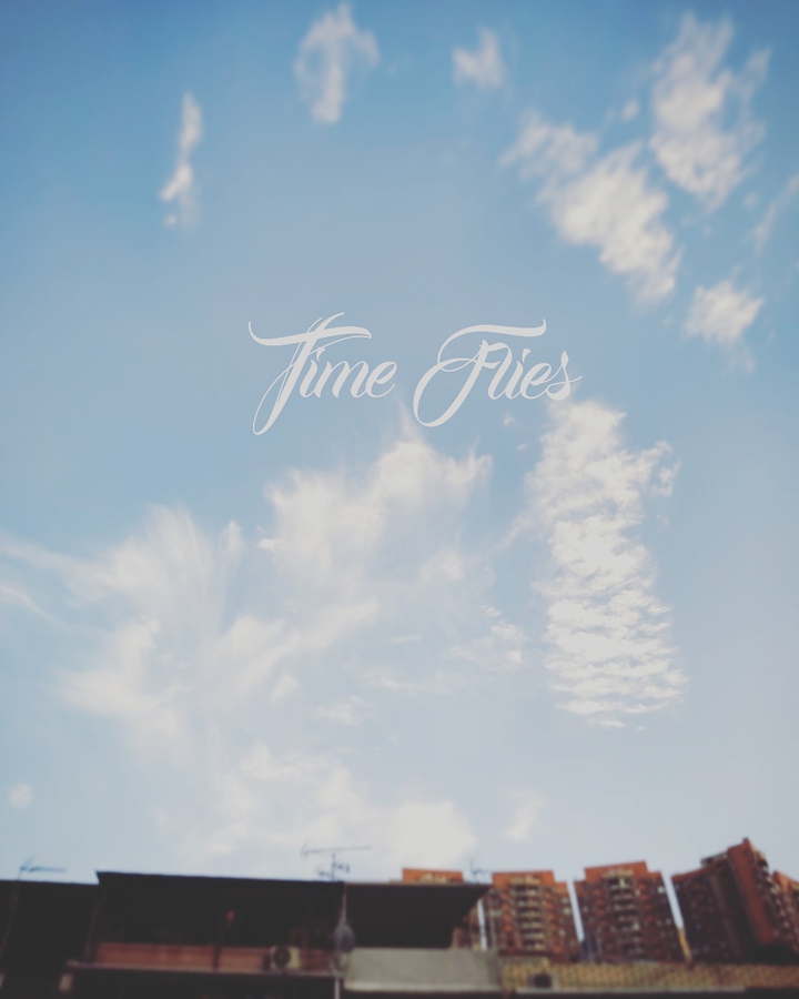 Time Flies
