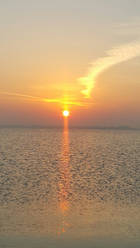 sun
