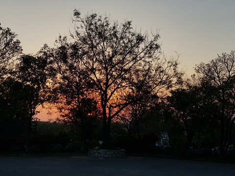 Somewhere