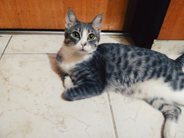 Why so cute.