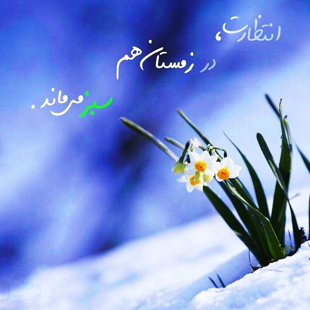 sno