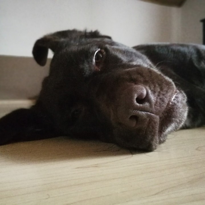 Mia