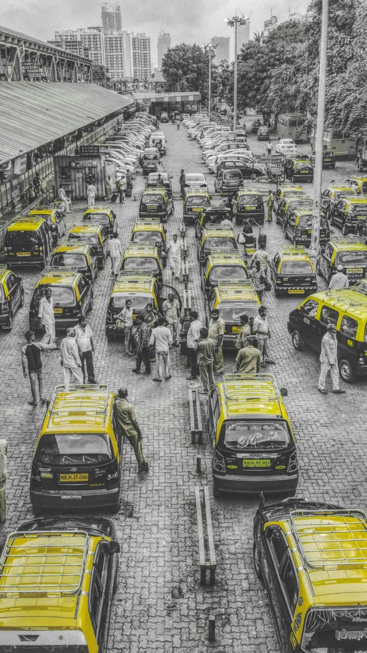 Black and yellow