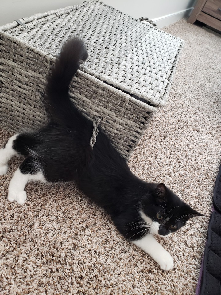 stuck in basket handle