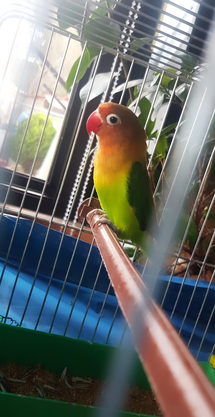 ?