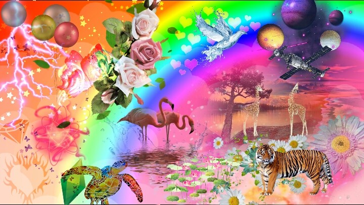 rainbow world