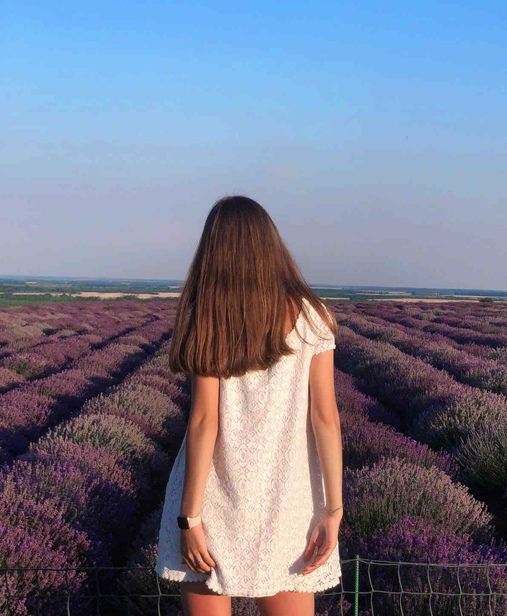 lavender
