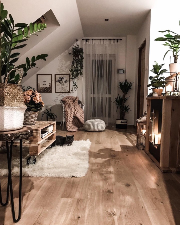 Ecological House