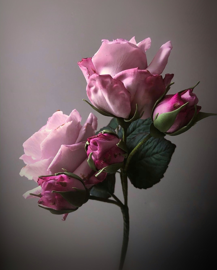 Roses