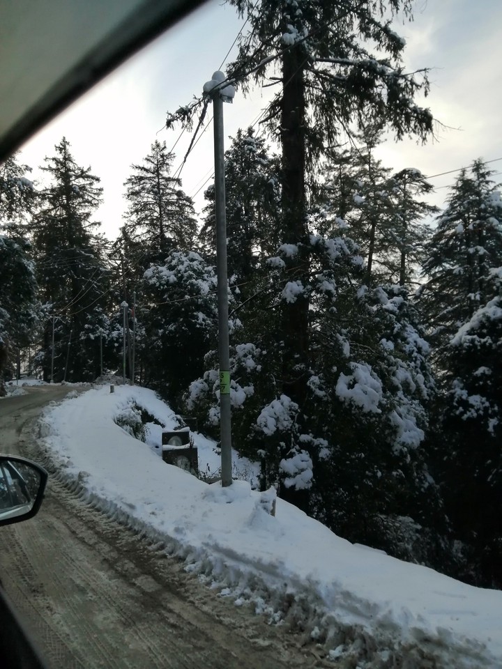 snow everywhere