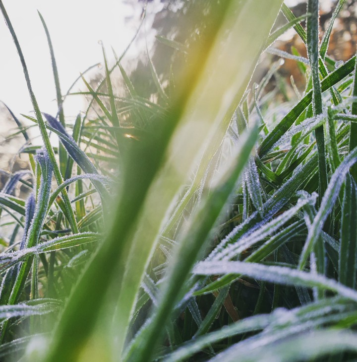El frio