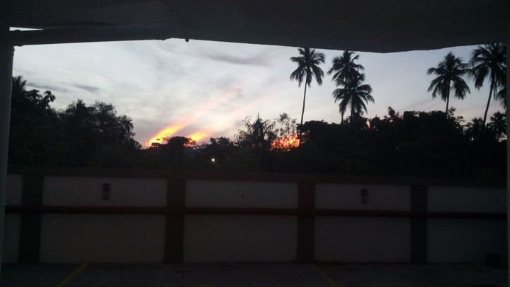 sunlight