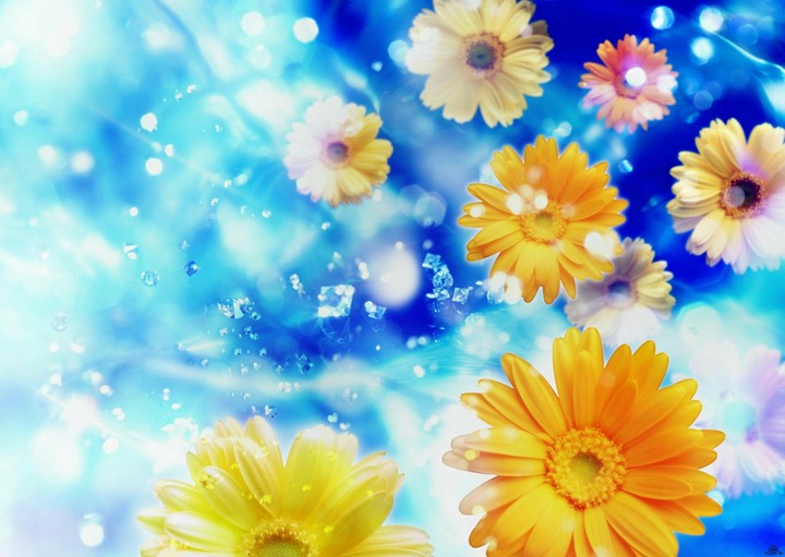 flower