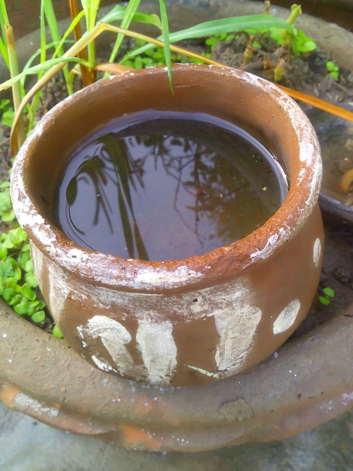 Water is Life