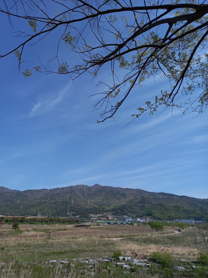 2021년 4월 10일 토요일 황산공원에서